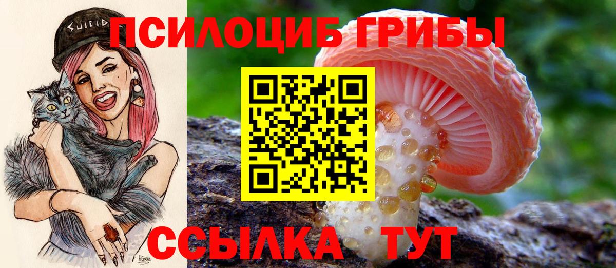 Псилоцибиновые грибы мухоморы Улан-Удэ