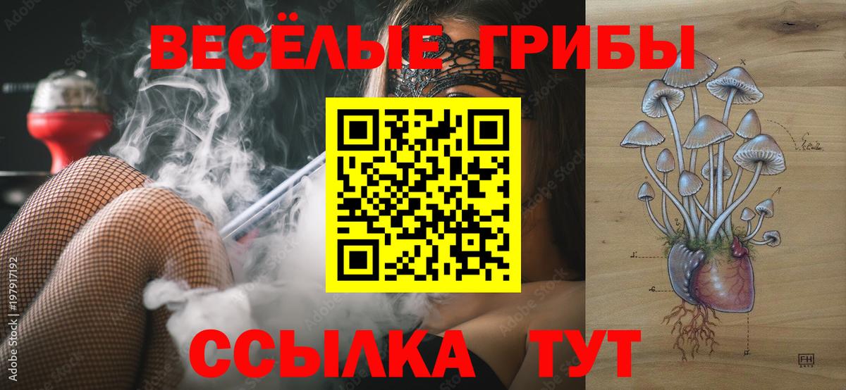 Улан-Удэ  Псилоцибиновые грибы Psilocybine cubensis  Вход с VPN  Псилоцибиновые грибы ЛСД 
